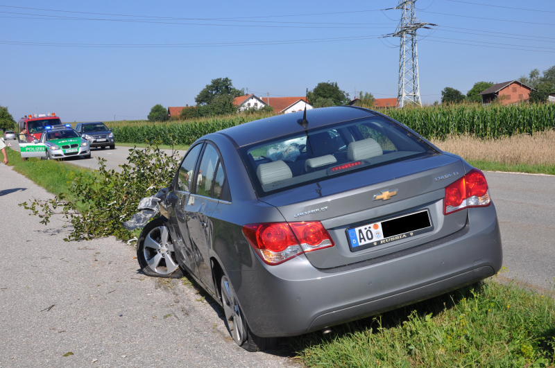 Auf dem gegenüberliegenden Grünstreifen würde der Fahrer von drei Jungbäumen gebremst.