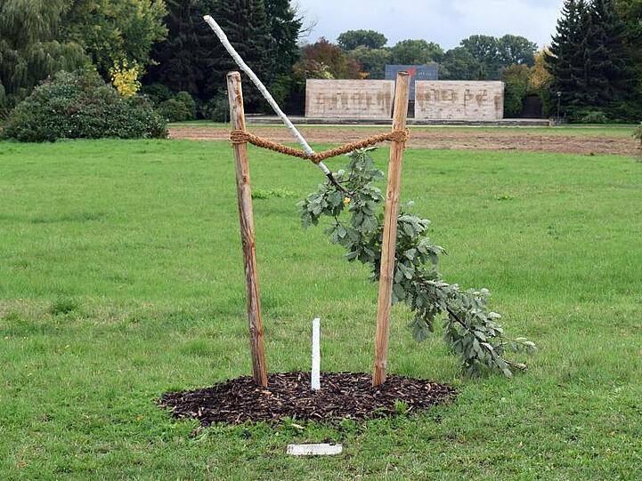 Die von Unbekannten abgesägte deutschen Eiche im Schwanenteichpark. Der Baum war Teil eines Gedenkortes für Enver Simsek, dem ersten NSU-Mordopfer.