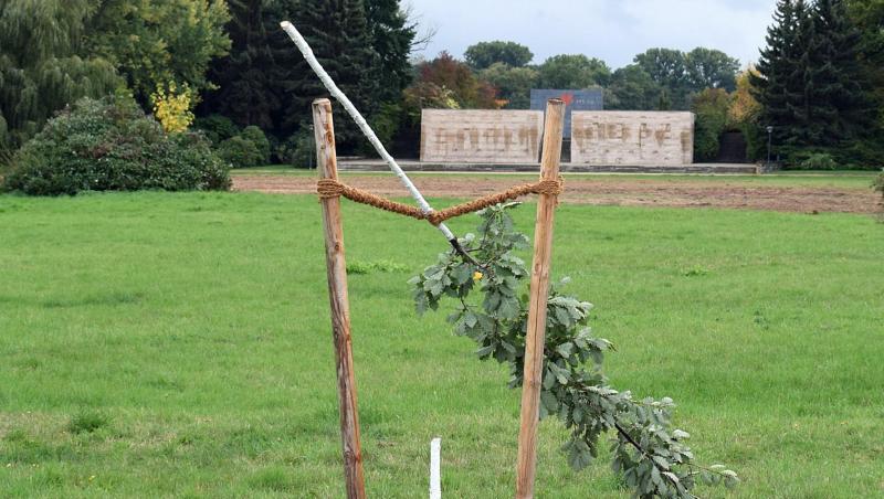 Die von Unbekannten abgesägte deutschen Eiche im Schwanenteichpark. Der Baum war Teil eines Gedenkortes für Enver Simsek, dem ersten NSU-Mordopfer. Die von Unbekannten abgesägte deutschen Eiche im Schwanenteichpark. Der Baum war Teil eines Gedenkortes für Enver Simsek, dem ersten NSU-Mordopfer.