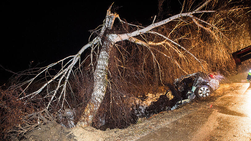 Der Wagen raste gegen einen Baum, entwurzelte ihn sogar. Der 35-jährige Fahrer starb noch am Unfallort.