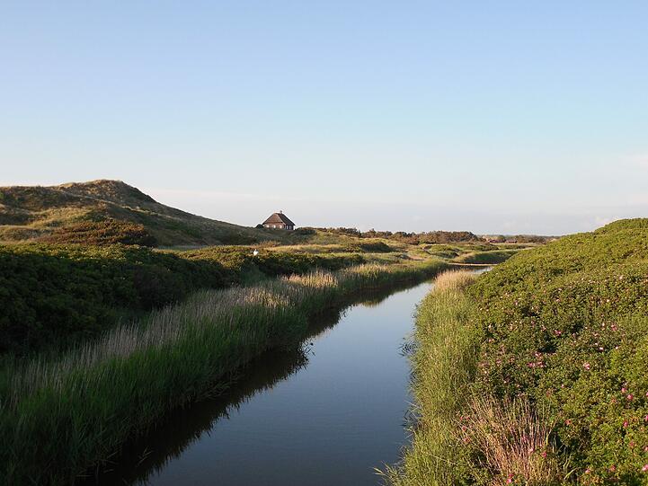 Idyllisch: Ein Häuschen in den Dünen Süddänemarks.