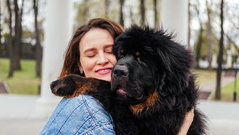 Susse Grosse Hunde