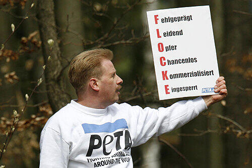 Tierschützer Frank A. protestiert im April 2008 an Flockes Gehege im Tiergarten gegen den ersten Auftritt der jungen Eisbärin.