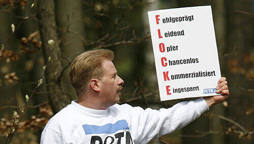 Tierschützer Frank A. protestiert im April 2008 an Flockes Gehege im Tiergarten gegen den ersten Auftritt der jungen Eisbärin. Tierschützer Frank A. protestiert im April 2008 an Flockes Gehege im Tiergarten gegen den ersten Auftritt der jungen Eisbärin.
