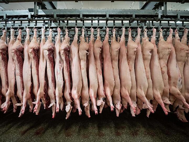 Halbierte Schweine hängen in einem Schlachthof. Die Fleischindustrie in NRW muss Beschäftigte künftig zwei Mal pro Woche testen lassen.