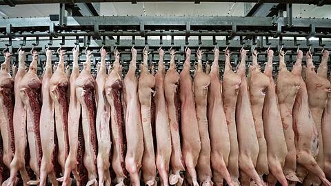 Halbierte Schweine hängen in einem Schlachthof. Die Fleischindustrie in NRW muss Beschäftigte künftig zwei Mal pro Woche testen lassen.