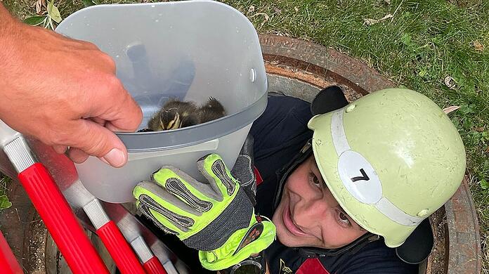 Die Münchner Feuerwehr hat fünf Entenküken aus einem Schachte gerettet.