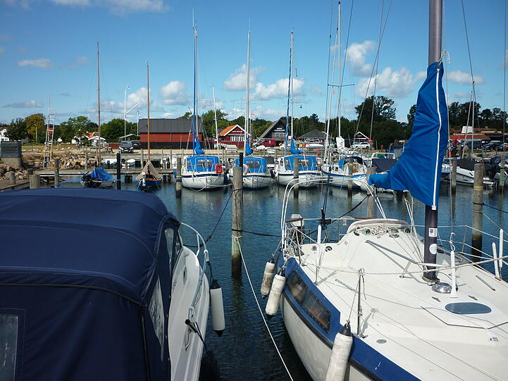 Im Hafen von Rørvig.