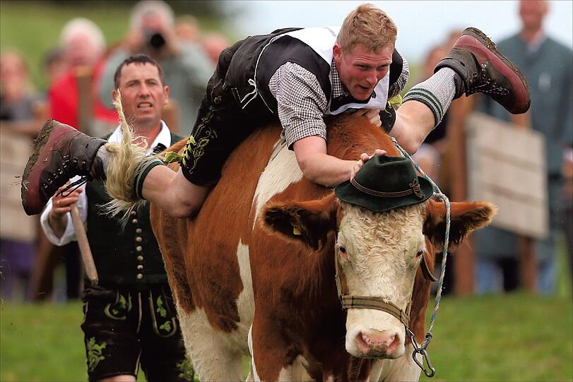 Ochsenrennen in Münsing
Wie alle großen Sportereignisse findet auch das Ochsenrennen im oberbayerischen Münsing nur alle vier Jahre statt. Jockeys treten ohne jegliche Hilfsmittel auf ihren Ochsen gegeneinander im Sprint an. Sieger wurde am 26. August 2012 übrigens Martin Breiter mit seinem Ochsen Kara. 10.000 Zuschauer jubelten, während der für Getty Images tätige Sportjournalist Alexander Hassenstein die schönsten Momente mit seiner Kamera festhielt. Das Preisgeld in der Kategorie Serie beträgt 1500 Euro.
