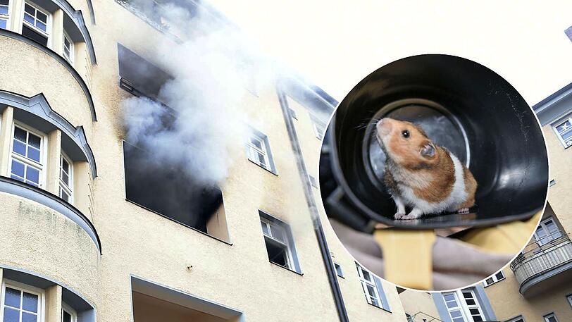 Dicker Rauch steigt aus der brennenden Wohnung empor, aus der die Feuerwehr einen kleinen Hamster retten konnte.