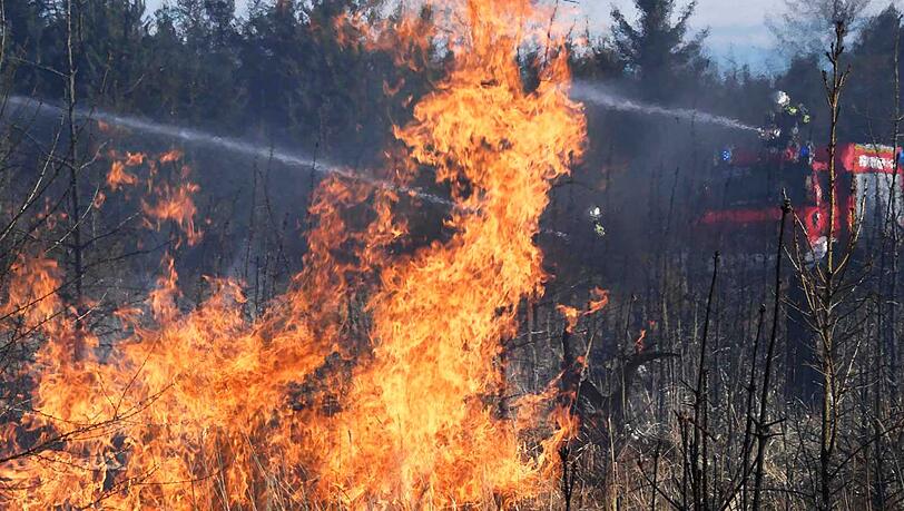 Erneut brannten am Karfreitag zwei Waldstücke im Münchner Osten....