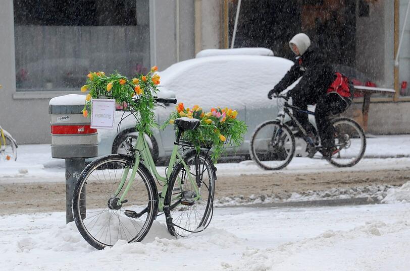 Bunte Plastikblumen statt frostigen Eisblumen: Eine Münchner Radlerin ließ sich vom Wetter offenbar nicht ihre Frühlingsgefühle verschneien.