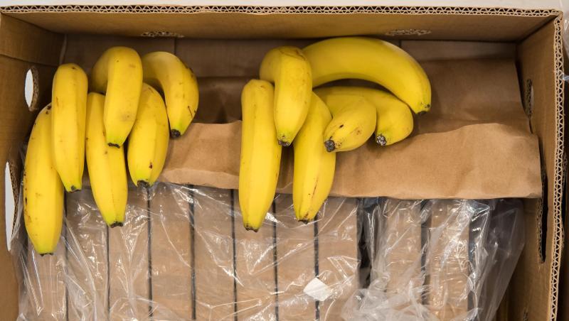 Päckchen zu je einem Kilo mit Kokain und Bananen liegen in einer Kiste. Foto: Peter Kneffel/dpa/Archivbild Päckchen zu je einem Kilo mit Kokain und Bananen liegen in einer Kiste. Foto: Peter Kneffel/dpa/Archivbild