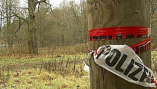 Die Fundstelle der Leiche in einem Wald bei Dessau.