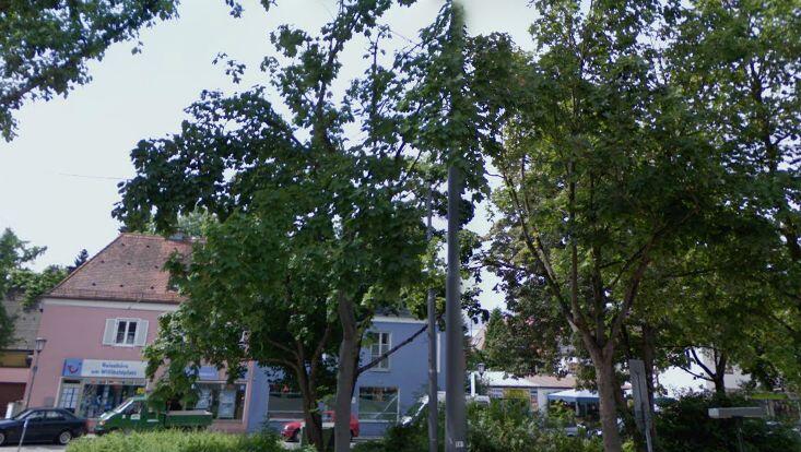 Das Viertel rund um den Willibaldplatz verändert sich. Das Viertel rund um den Willibaldplatz verändert sich.