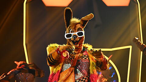 Das Känguru wurde in der ersten Folge von "The Masked Singer" rausgewählt. Darunter steckte Jan Josef Liefers