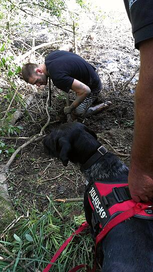 Auch Spürhunde sollen bei der Suche nach "Lotti" helfen.