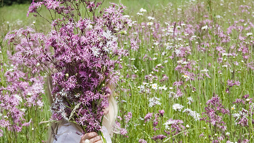 Blumen pflücken bereitet Freude Blumen pflücken bereitet Freude