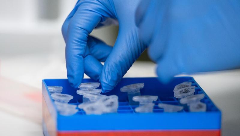 Eine Laborantin führt Untersuchungen zum Coronavirus durch. Foto: Christophe Gateau/dpa/Symbolbild Eine Laborantin führt Untersuchungen zum Coronavirus durch. Foto: Christophe Gateau/dpa/Symbolbild