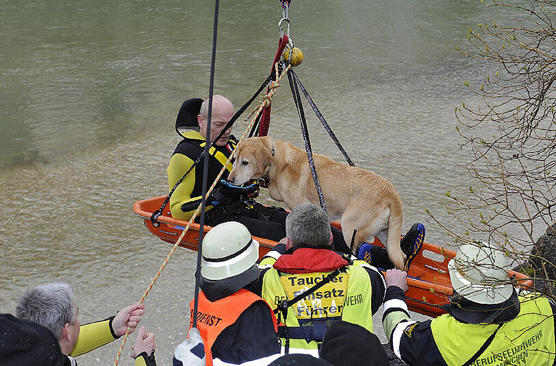 Die Feuerwehr München rettet Hündin "Honey".