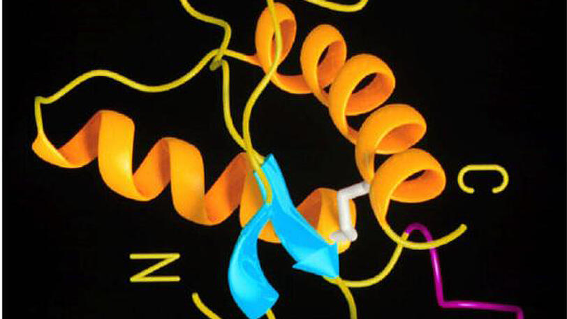 Darstellung der dreidimensionalen Struktur eines fehlerhaften Proteins.