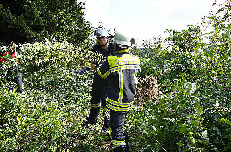 Ungewöhnlicher Feuerwehreinsatz: Im Landkreis Traunstein musste eine Cannabisplantage sichergestellt werden.