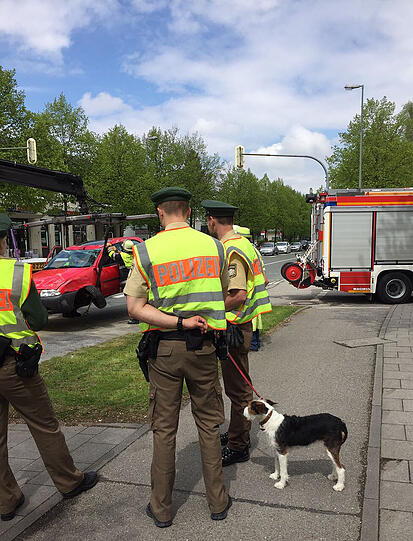 In einem der Unfallwagen saß offenbar ein Hund. Polizisten kümmern sich um das Tier.