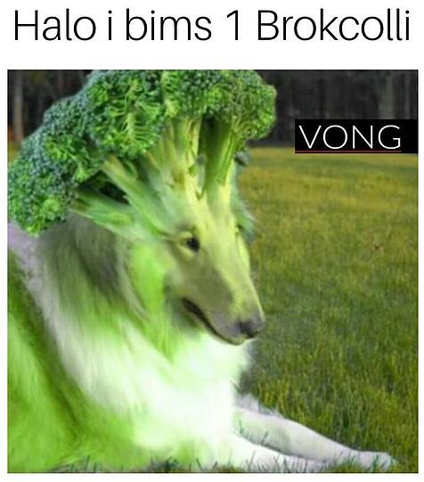 Der Brocolli