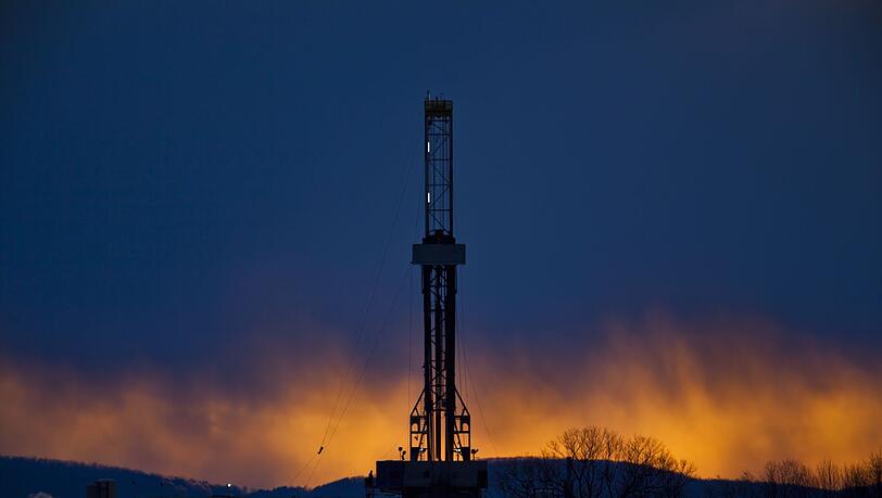 Einheimische Rohstoffe r&uuml;cken in unsicheren Zeiten wieder verst&auml;rkt in den Blick.