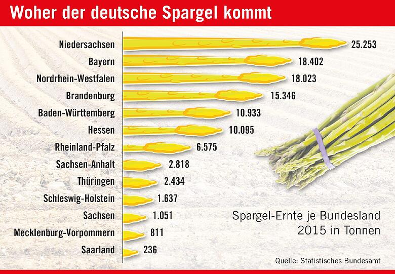 Bayern steht auf Platz Zwei der Spargelernte-Bundesländer.
