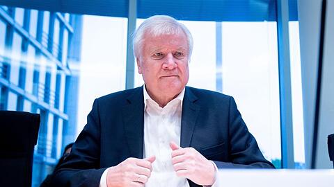 Innenminister Horst Seehofer vergangene Woche bei einer Sitzung in Berlin.