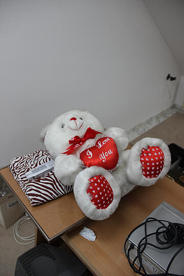Ein Teddybär liegt noch immer in der Wohnung.