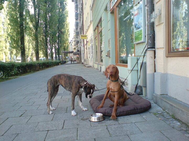 Auf dem Weg zum Goetheplatz, entlang der Lindwurmstraße.