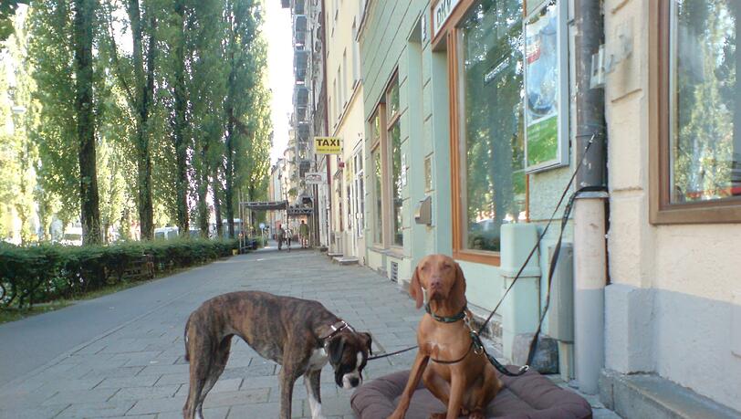 Auf dem Weg zum Goetheplatz, entlang der Lindwurmstraße. Auf dem Weg zum Goetheplatz, entlang der Lindwurmstraße.