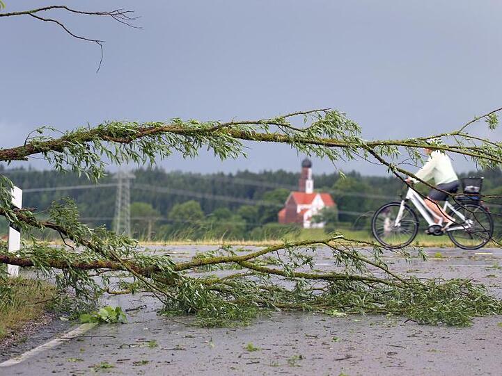 Durch das Sturmtief umgestürzte Bäume wurden aus vielen Regionen gemeldet.