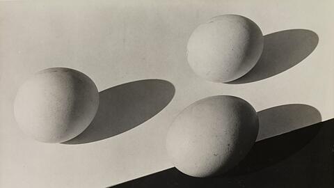 Aenne Biermann: Eier, 1931. Silbergelatine-Abzug, 17 x 23,9 cm.