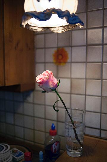 Sendlinger Boazn-Poesie - die Bilder vom Rundgang mit Autor Max Bildhauer