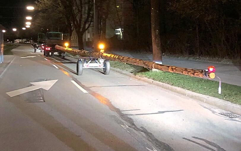 So läuft's, wenn man den Baum nicht gescheit bewacht. Hier transportieren die Unterbrunner Burschen das Trumm sachgerecht weg.