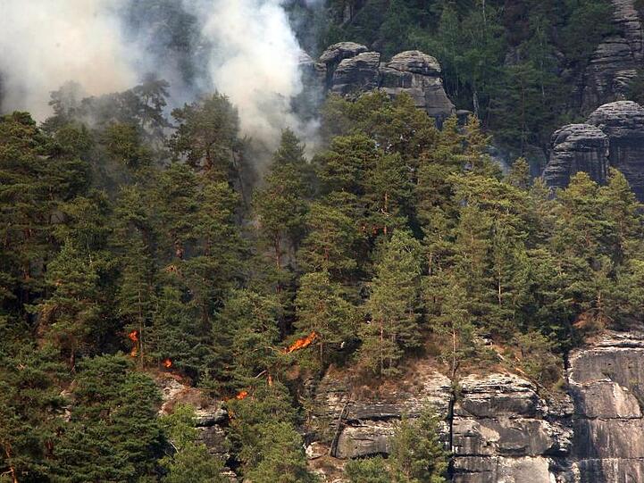 Ein Waldbrand im Nationalpark Sächsische Schweiz.
