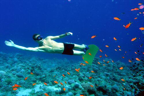 Der Gräfenberger Andreas Güldner in seinem Element, dem Wasser. Seit er 13 Jahre alt ist, taucht er am liebsten ganz tief zu den Fischen hinab.