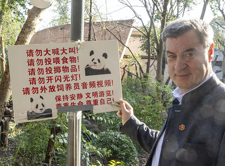Markus Söder, (CSU) Ministerpräsident von Bayern, besuchte 2024 das Chengdu Research Base of Giant Panda Breeding, eine Aufzuchtstation für Pandabäre in China. Markus Söder, (CSU) Ministerpräsident von Bayern, besuchte 2024 das Chengdu Research Base of Giant Panda Breeding, eine Aufzuchtstation für Pandabäre in China.