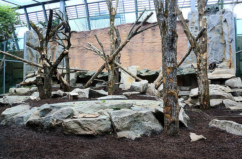Bilder von der Eröffnung des Affengeheges im Tierpark Hellabrunn.