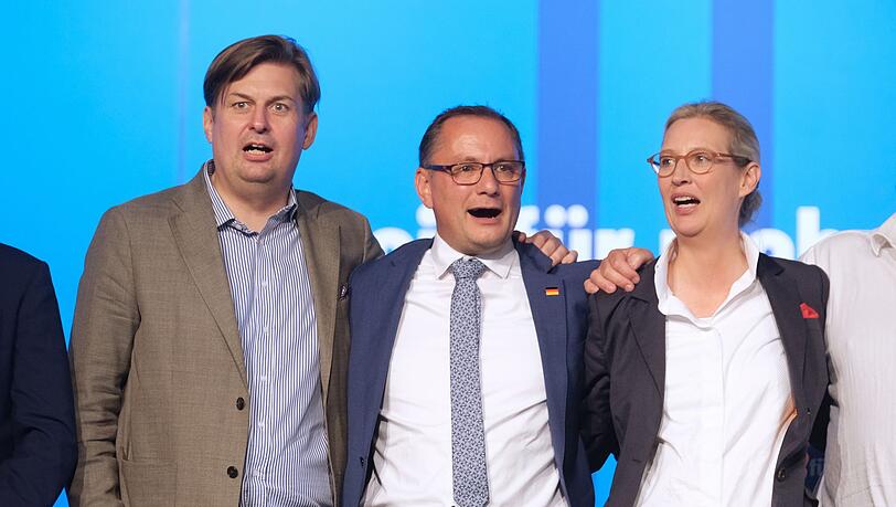 AfD-Programm: Einigkeit zwischen Europas Rechtsparteien?