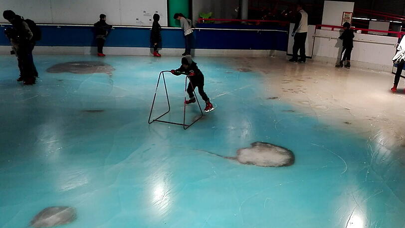 In Japan lockte ein Freizeitpark mit einer Eislaufbahn der ganz besonderen Art: Tausende tote Fische wurden in das Eis eingefroren. Die Besucher waren allerdings nicht sonderlich begeistert. In Japan lockte ein Freizeitpark mit einer Eislaufbahn der ganz besonderen Art: Tausende tote Fische wurden in das Eis eingefroren. Die Besucher waren allerdings nicht sonderlich begeistert.