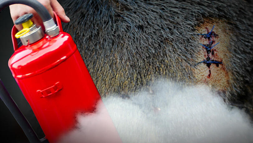 Während der Feier eskalierte ein Streit um Feuerlöscher. Während der Feier eskalierte ein Streit um Feuerlöscher.