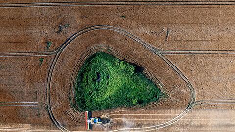 Die Agrarwirtschaft befürchtet, dass Landwirte künftig weniger EU-Geld bekommen. (Archivbild)