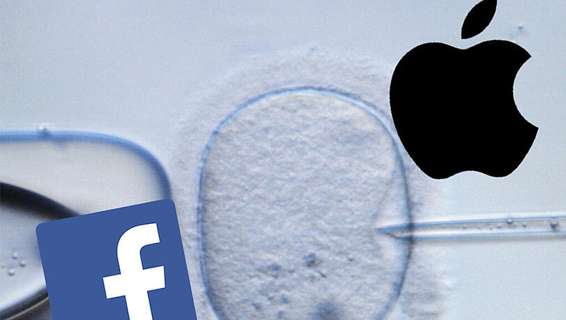 Apple und Facebook wollen Mitarbeiterinnen das Einfrieren von Eizellen bezahlen. Apple und Facebook wollen Mitarbeiterinnen das Einfrieren von Eizellen bezahlen.