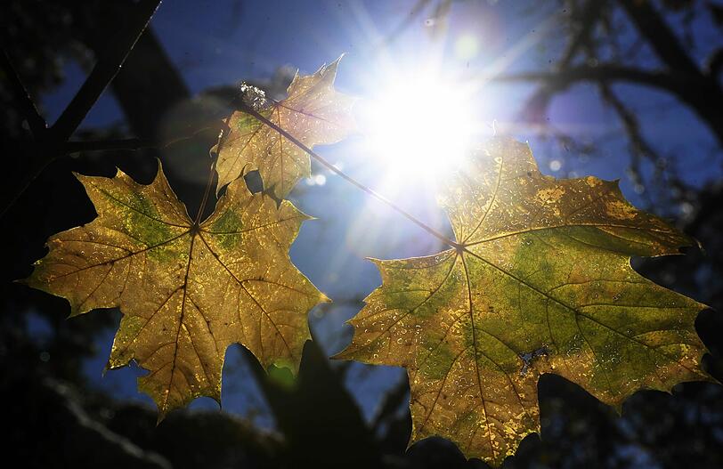 Keine weiße Weihnacht, sondern rekordverdächtige Temperaturen bis zu 20 Grad.