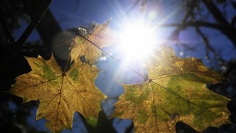 Keine weiße Weihnacht, sondern rekordverdächtige Temperaturen bis zu 20 Grad. Keine weiße Weihnacht, sondern rekordverdächtige Temperaturen bis zu 20 Grad.