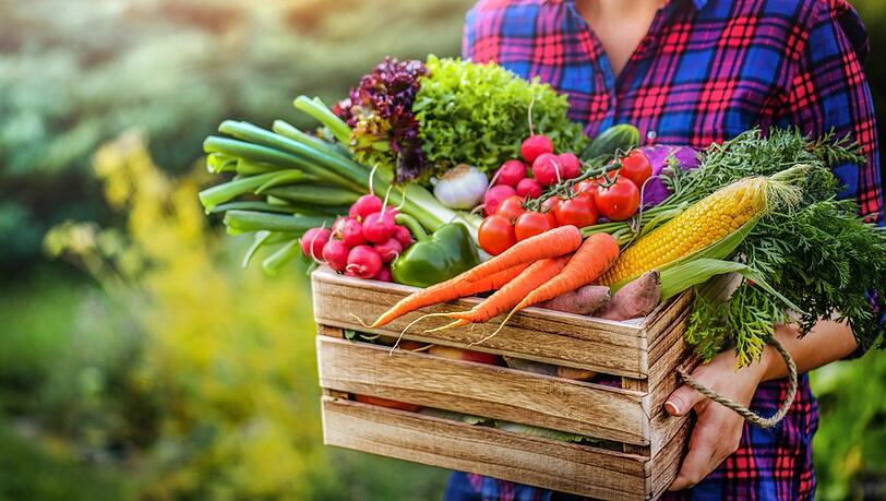 Gemüsekisten sind eine gute Option, neues Gemüse kennenzulernen. Gemüsekisten sind eine gute Option, neues Gemüse kennenzulernen.